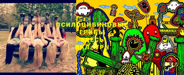 крисы Абаза